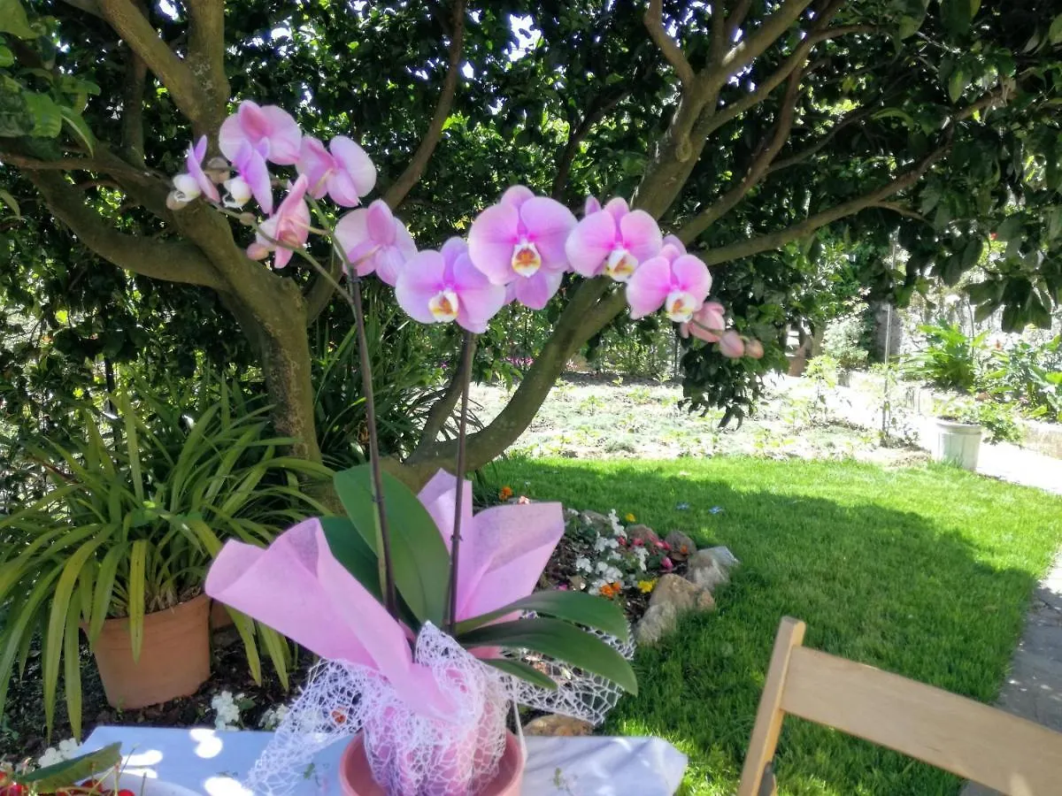 Ca' Da Rina Villa Sestri Levante