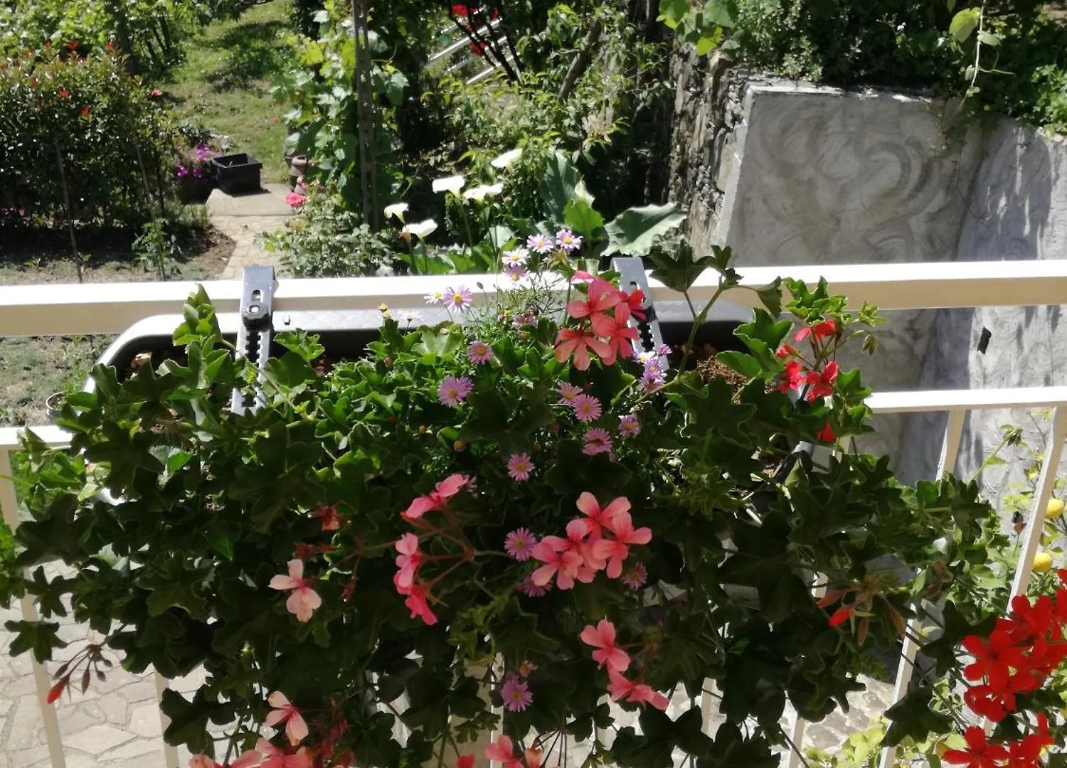 Ca' Da Rina Villa Sestri Levante Casa vacanze