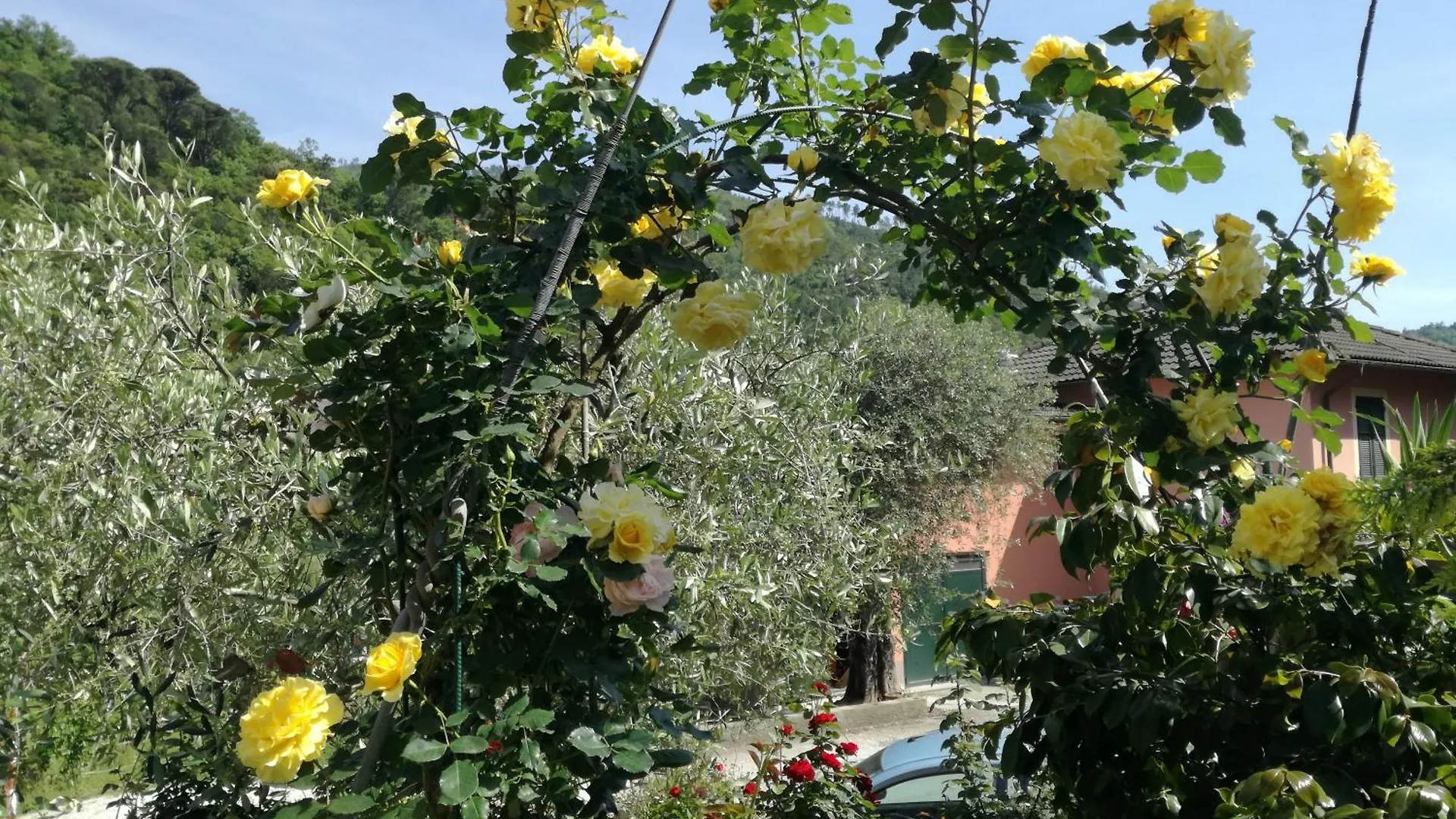 Ca' Da Rina Villa Sestri Levante 0*,  Italia