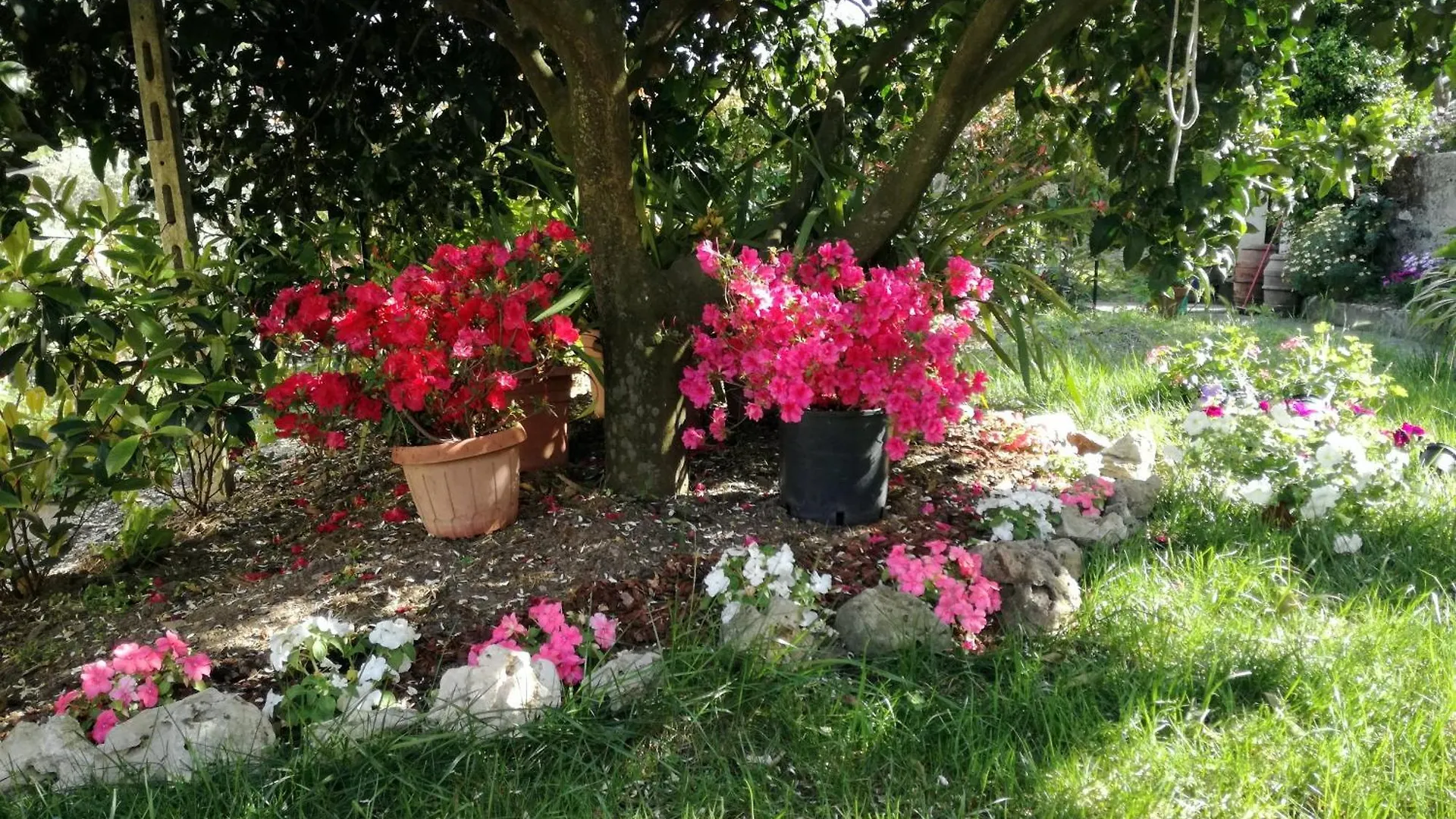 Ca' Da Rina Villa Sestri Levante Casa vacanze
